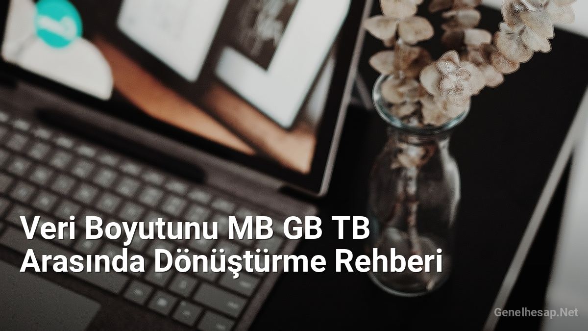 Veri Boyutunu MB GB TB Arasında Dönüştürme Rehberi - Genelhesap.Net