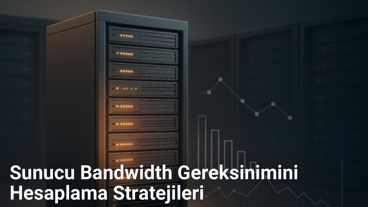 Sunucu Bandwidth Gereksinimini Hesaplama Stratejileri - Genelhesap.Net